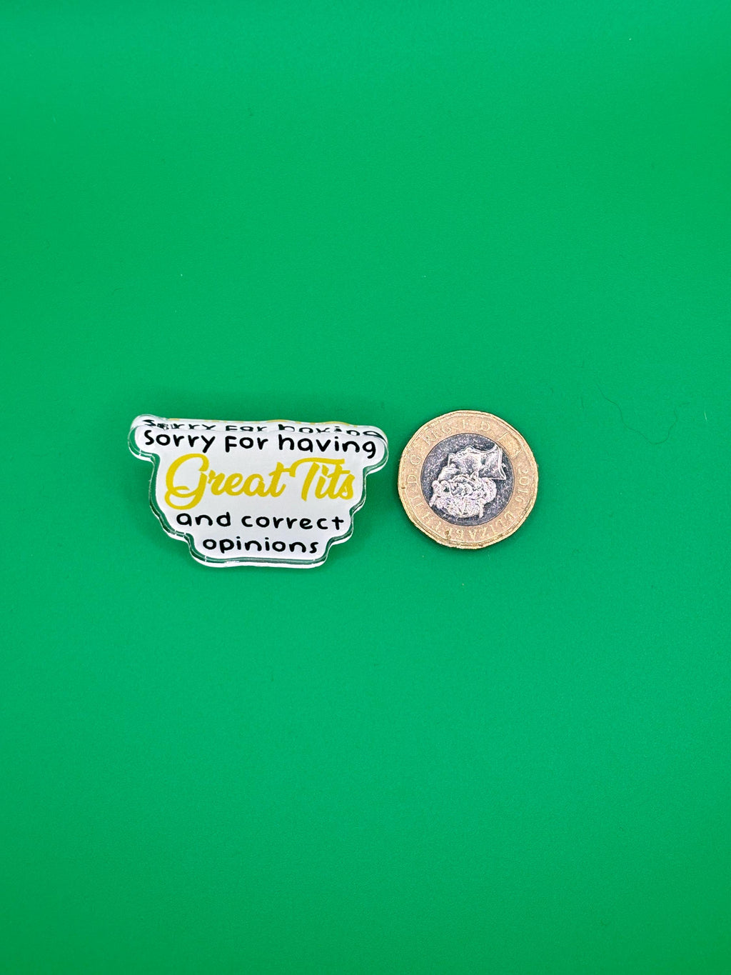 Sorry for having great tits and correct opinions pin