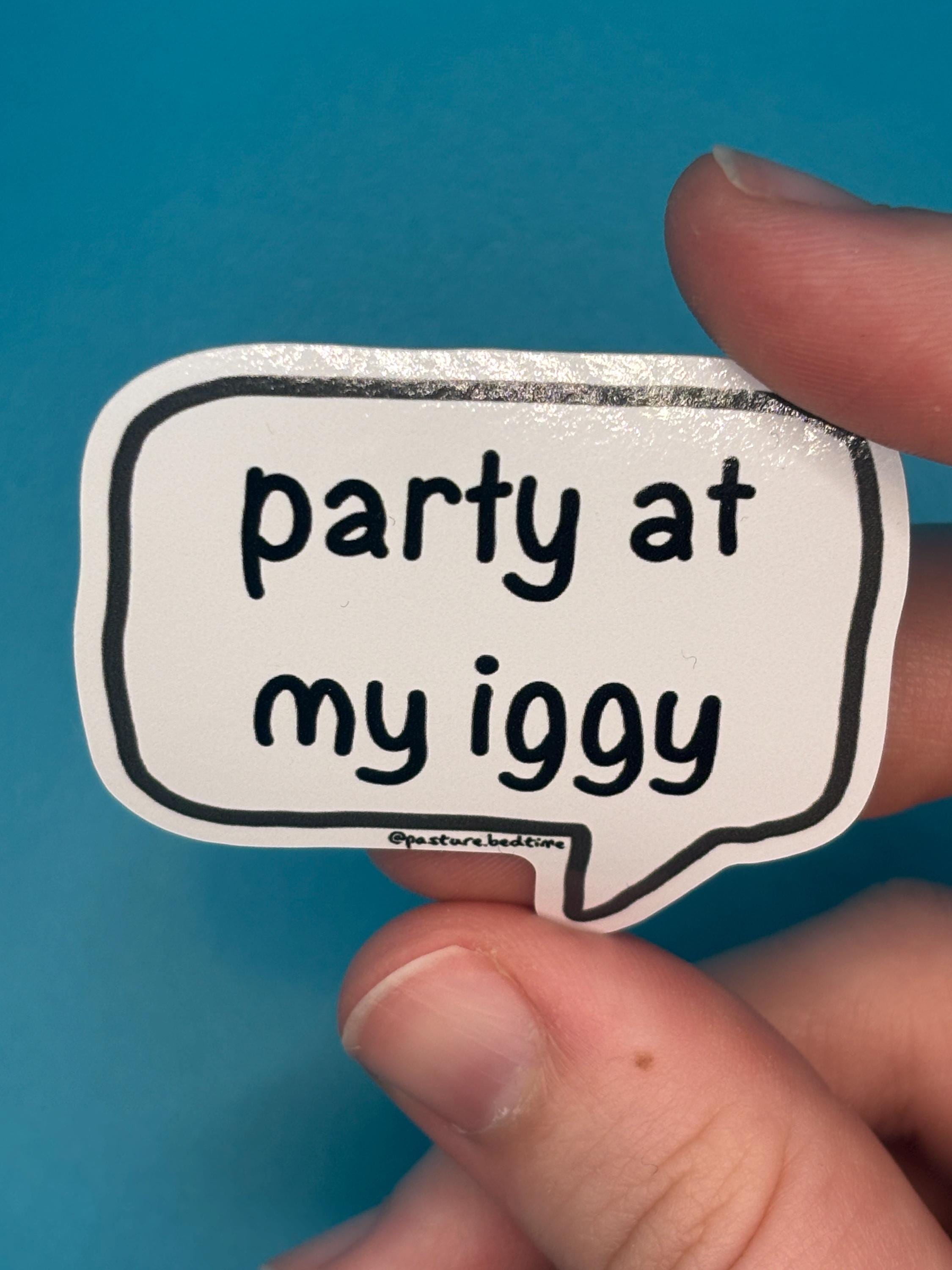 Party at my iggy sticker
