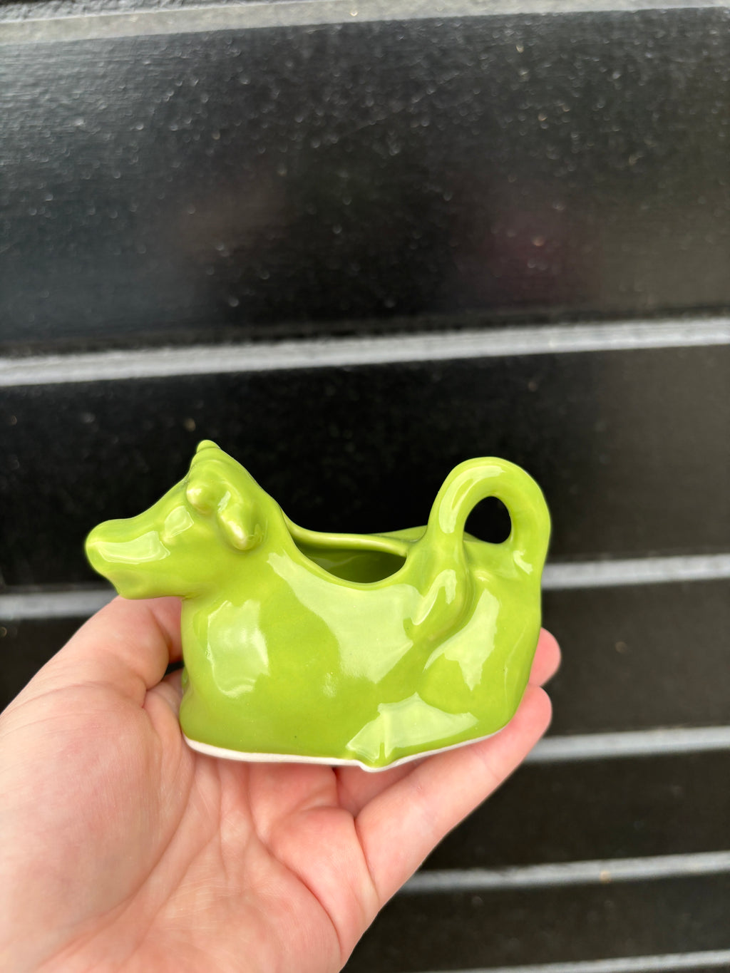 Cash Cow Milk Jug/Pourer