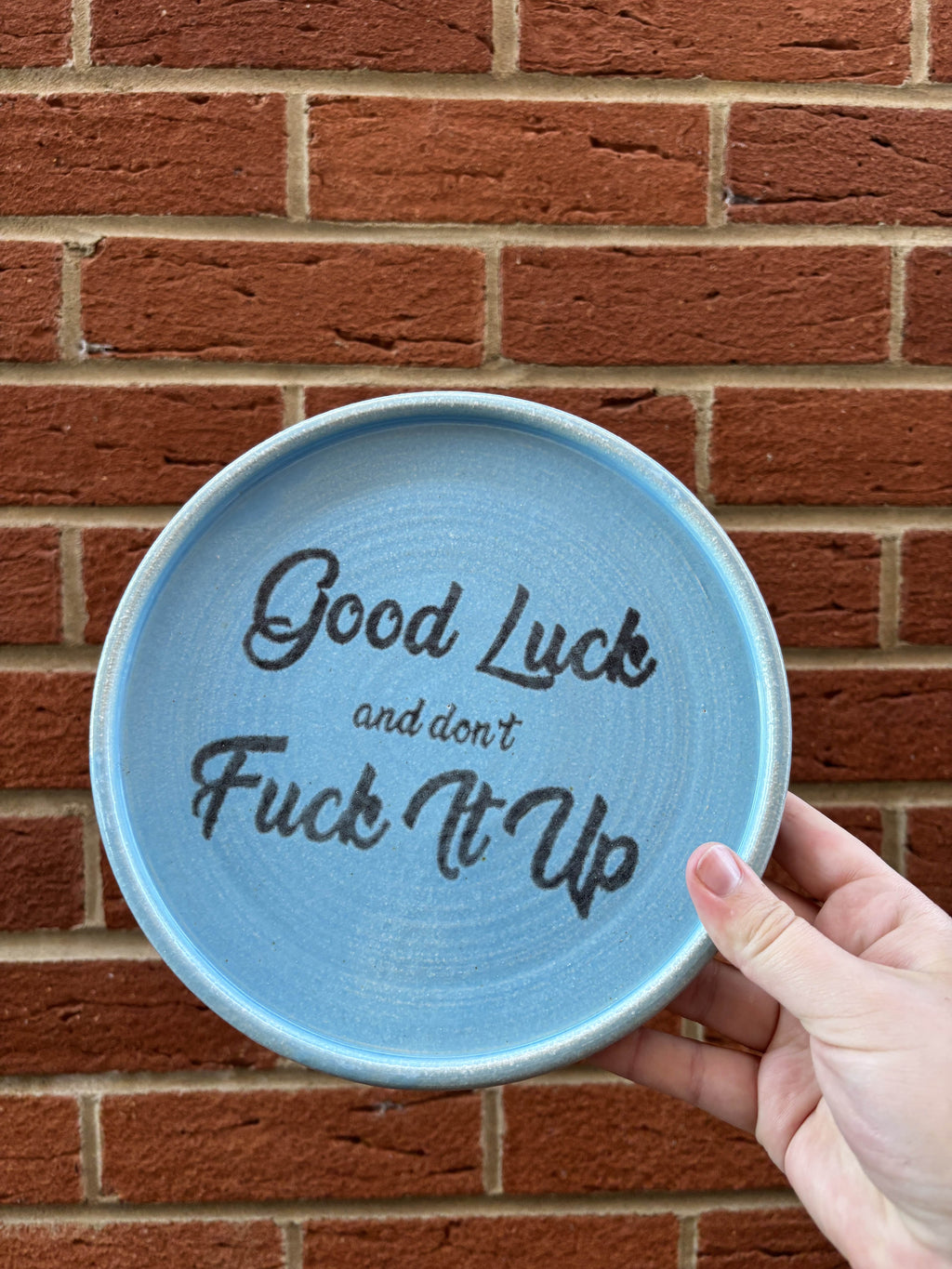 Good Luck and Dont Fuck It Up plate