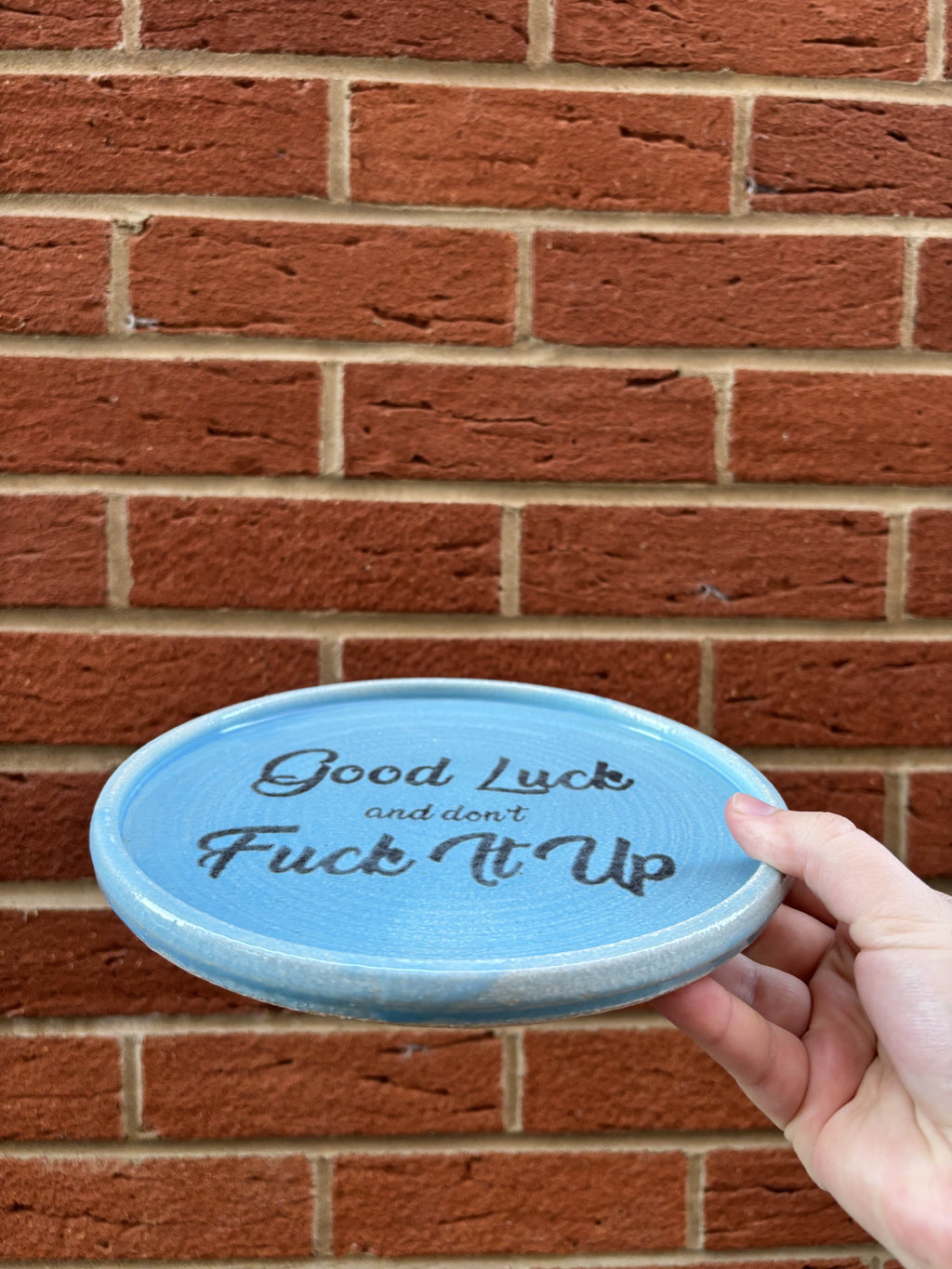 Good Luck and Dont Fuck It Up plate