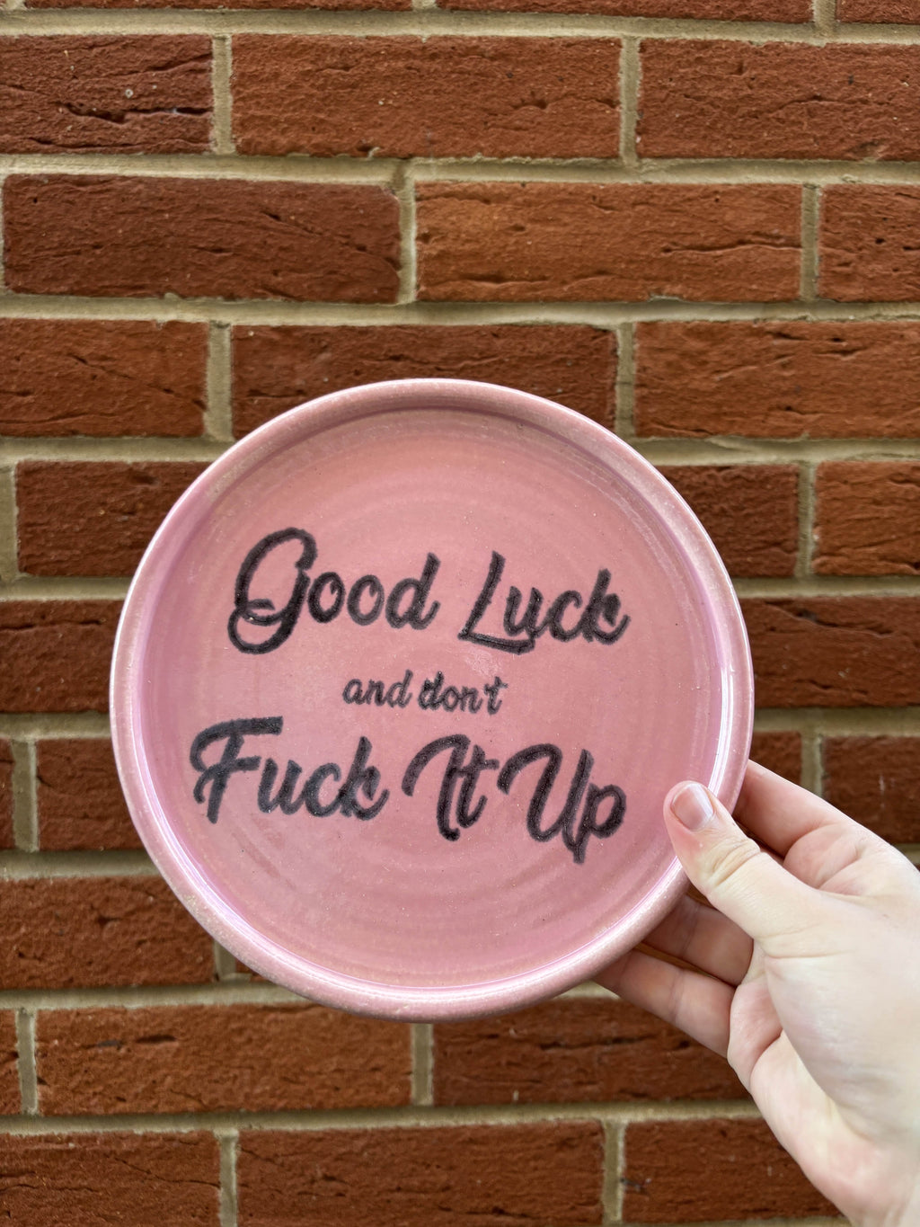 Good Luck and Dont Fuck It Up plate