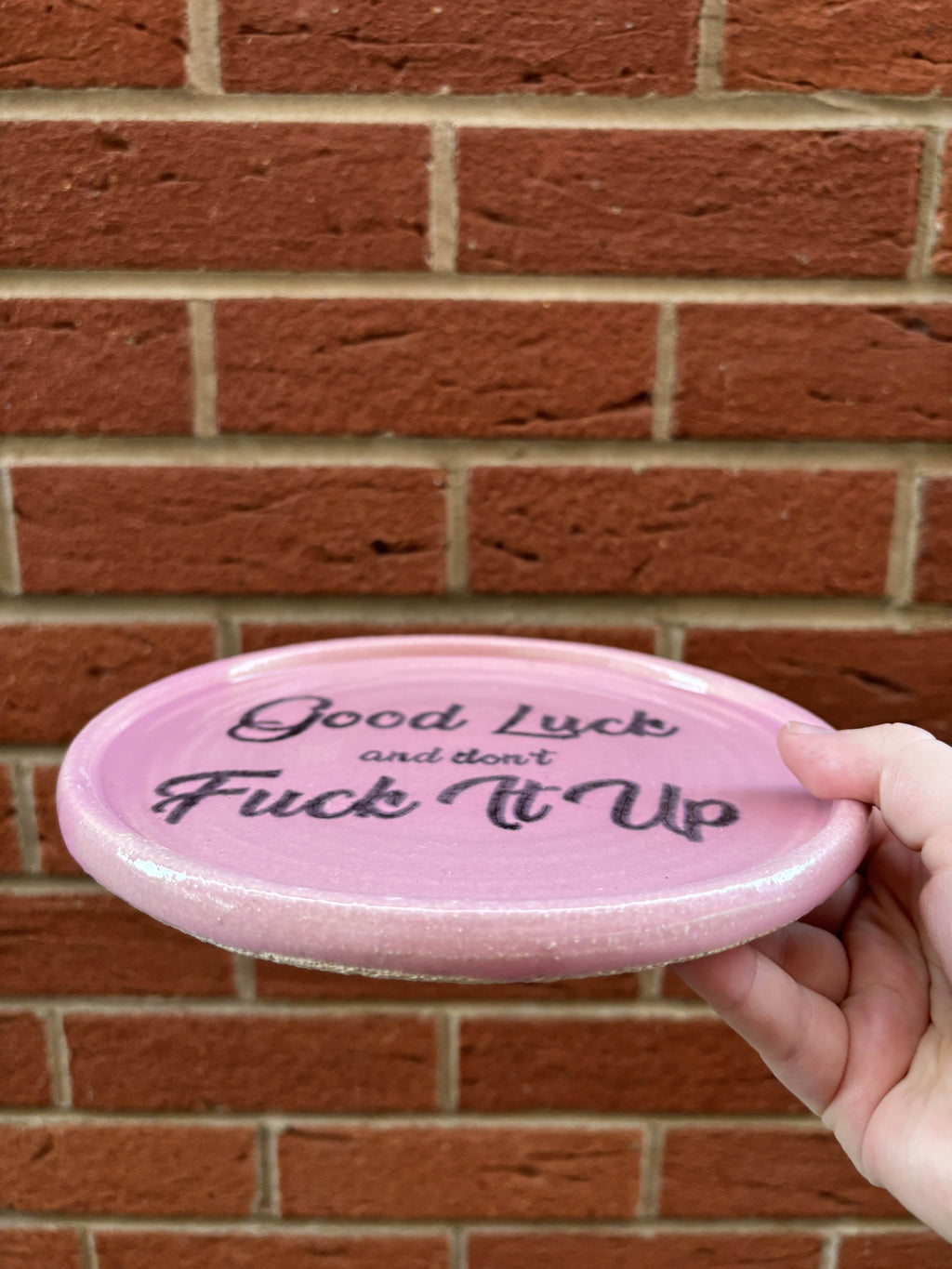 Good Luck and Dont Fuck It Up plate