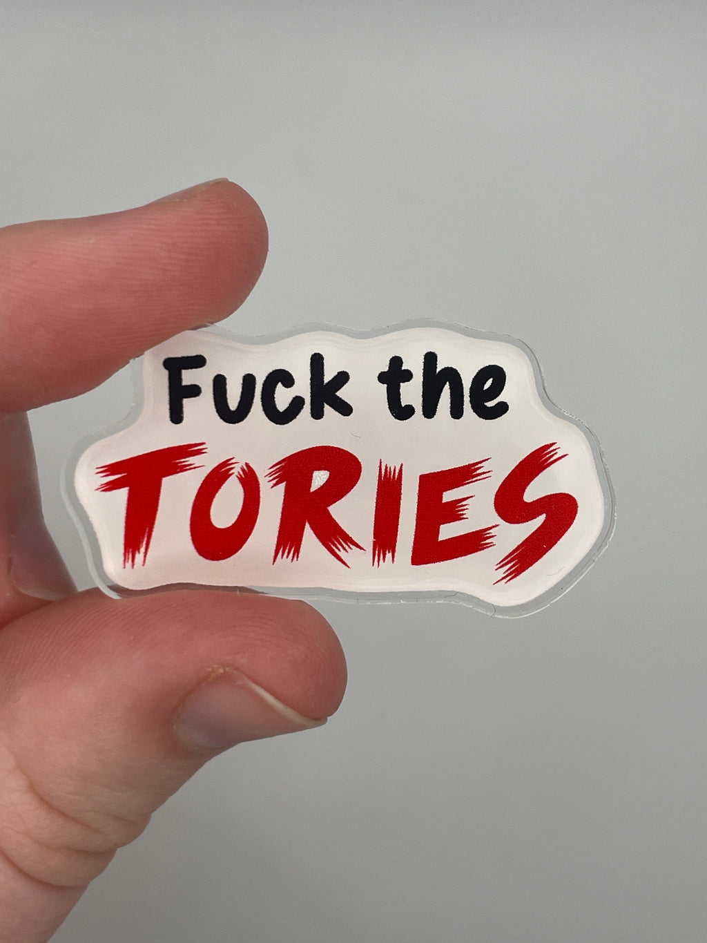 fuck the tories pin