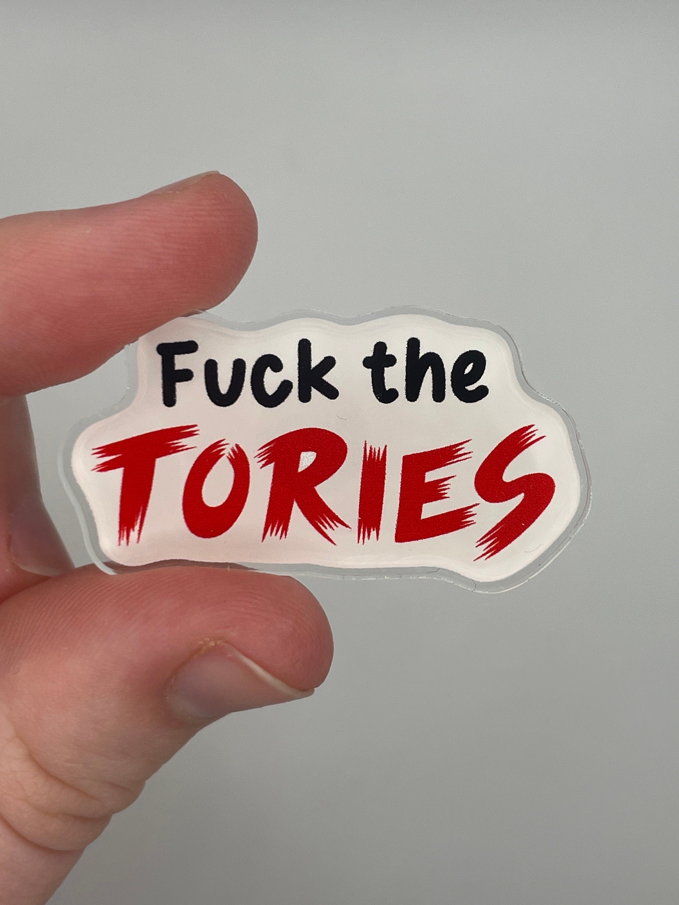 fuck the tories pin