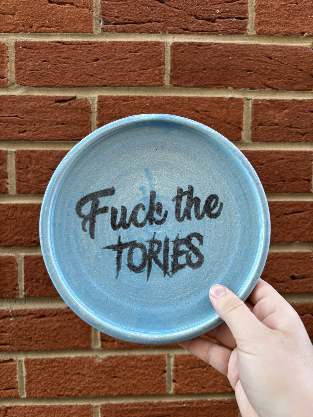 Fuck the tories plate
