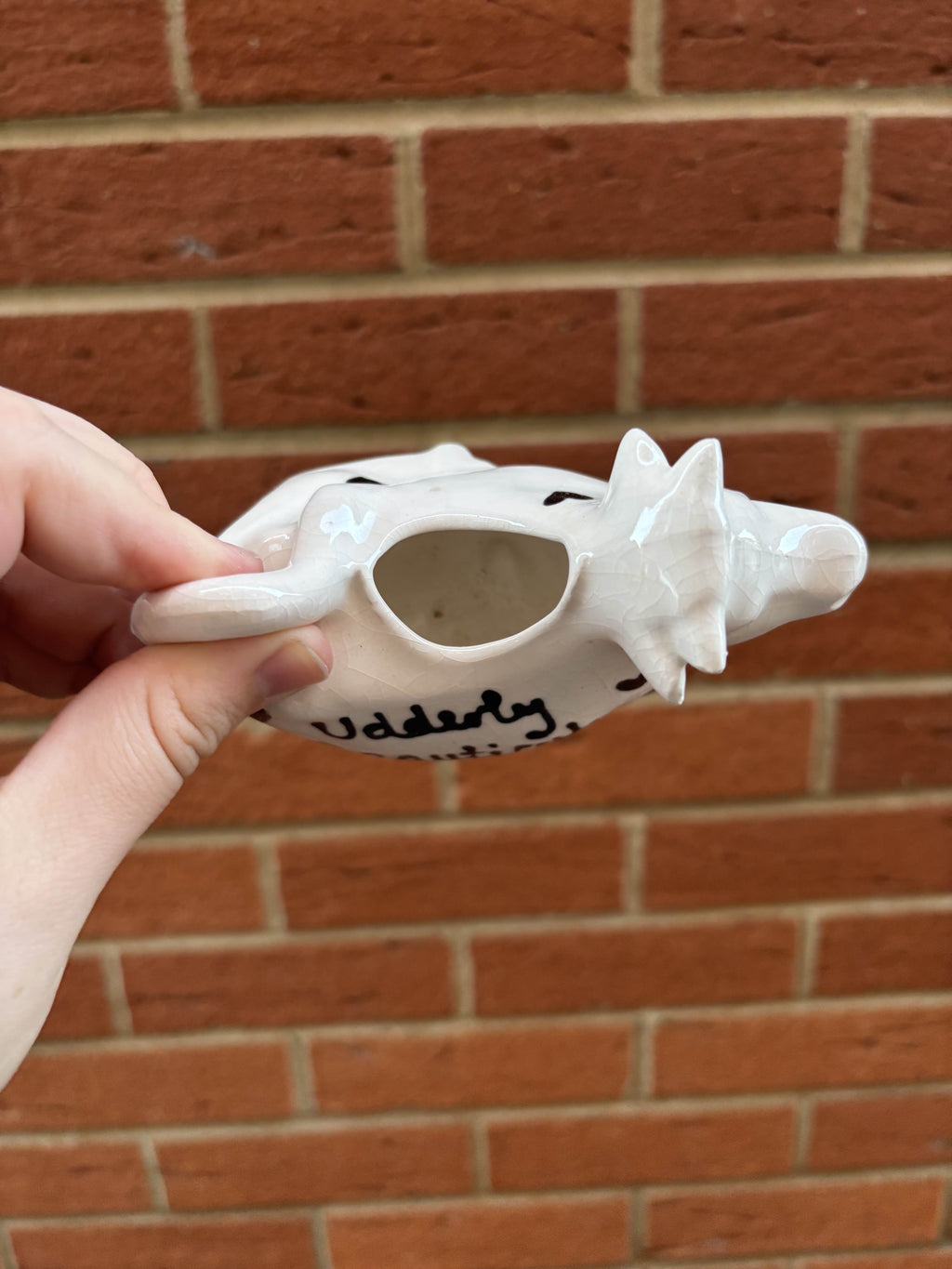 Udderly Beautiful Milk Jug/Poorer