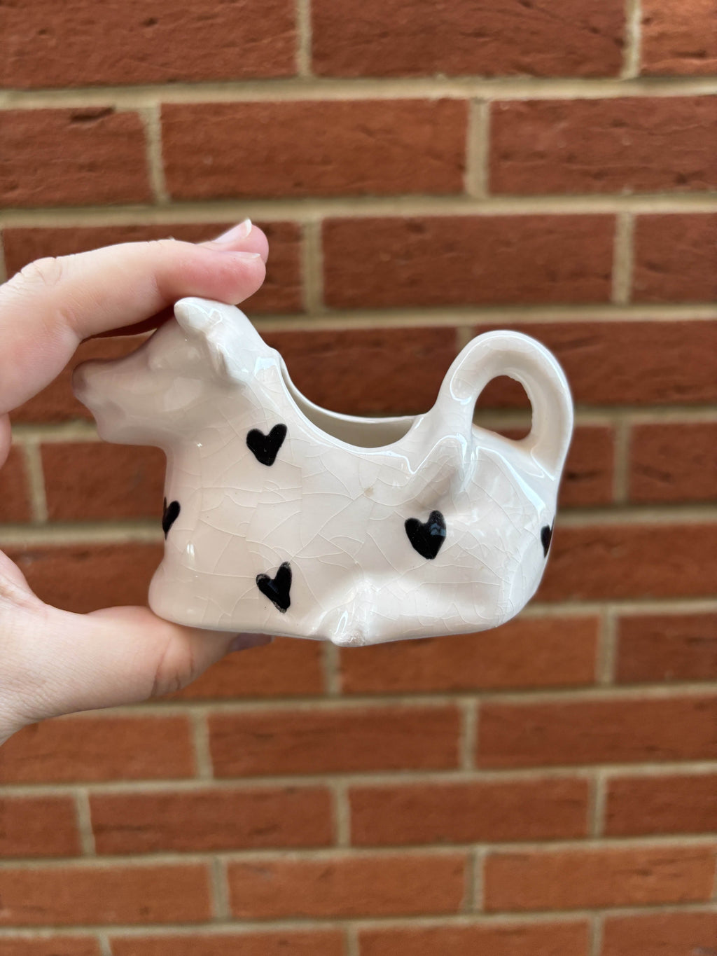 Udderly Beautiful Milk Jug/Poorer